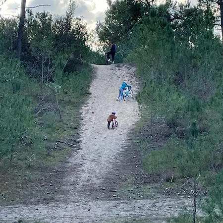 Semesterbostad Climatise Dune Et Jqa 12 Personnes