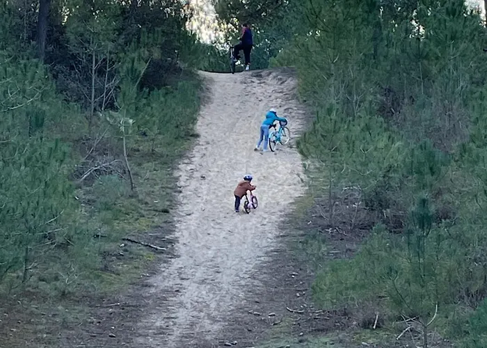 Сasa de vacaciones Climatisé Dune Et Jqà 12 Personnes